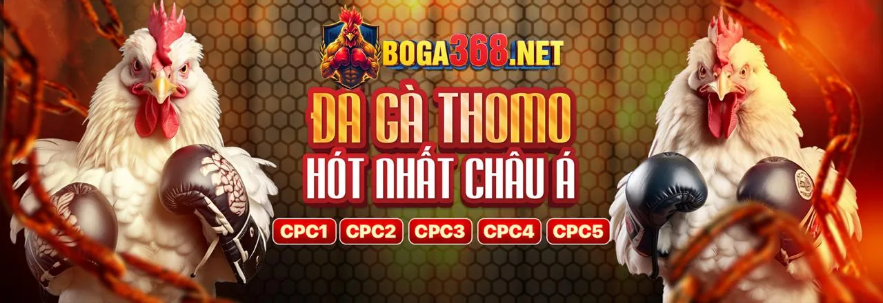 Hướng dẫn tham gia chương trình đối tác fcb88 bet