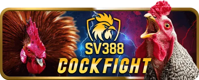 Hoàn trả tiền thua cược casino FCB88 Bet